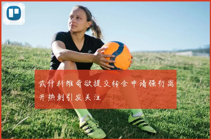 武什科维奇欲提交转会申请强行离开热刺引发关注